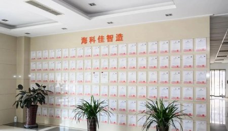 青島海科佳丨民族原始創新 走出國門完成增效